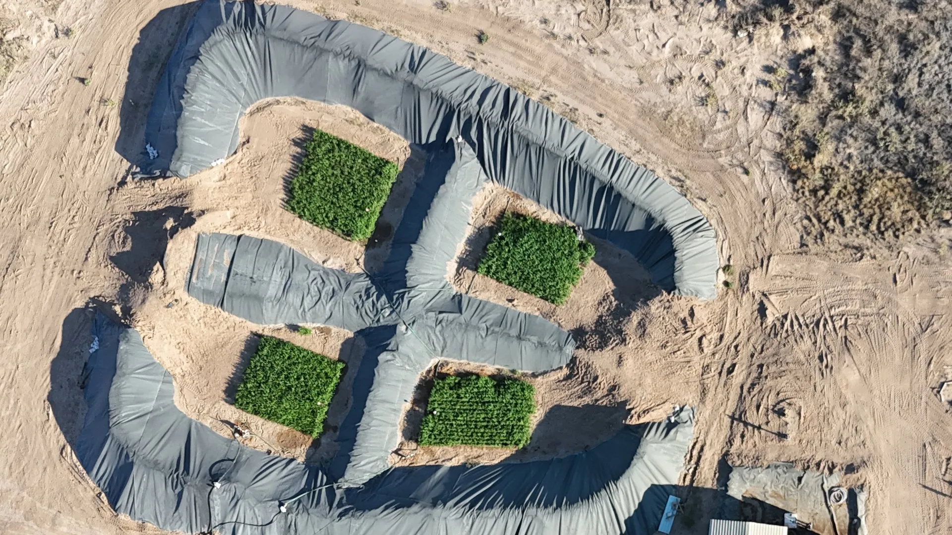 Aerial photograph of the Orla site after treatment: four plots of green crops growing on lined containment, irrigated with treated produced water.